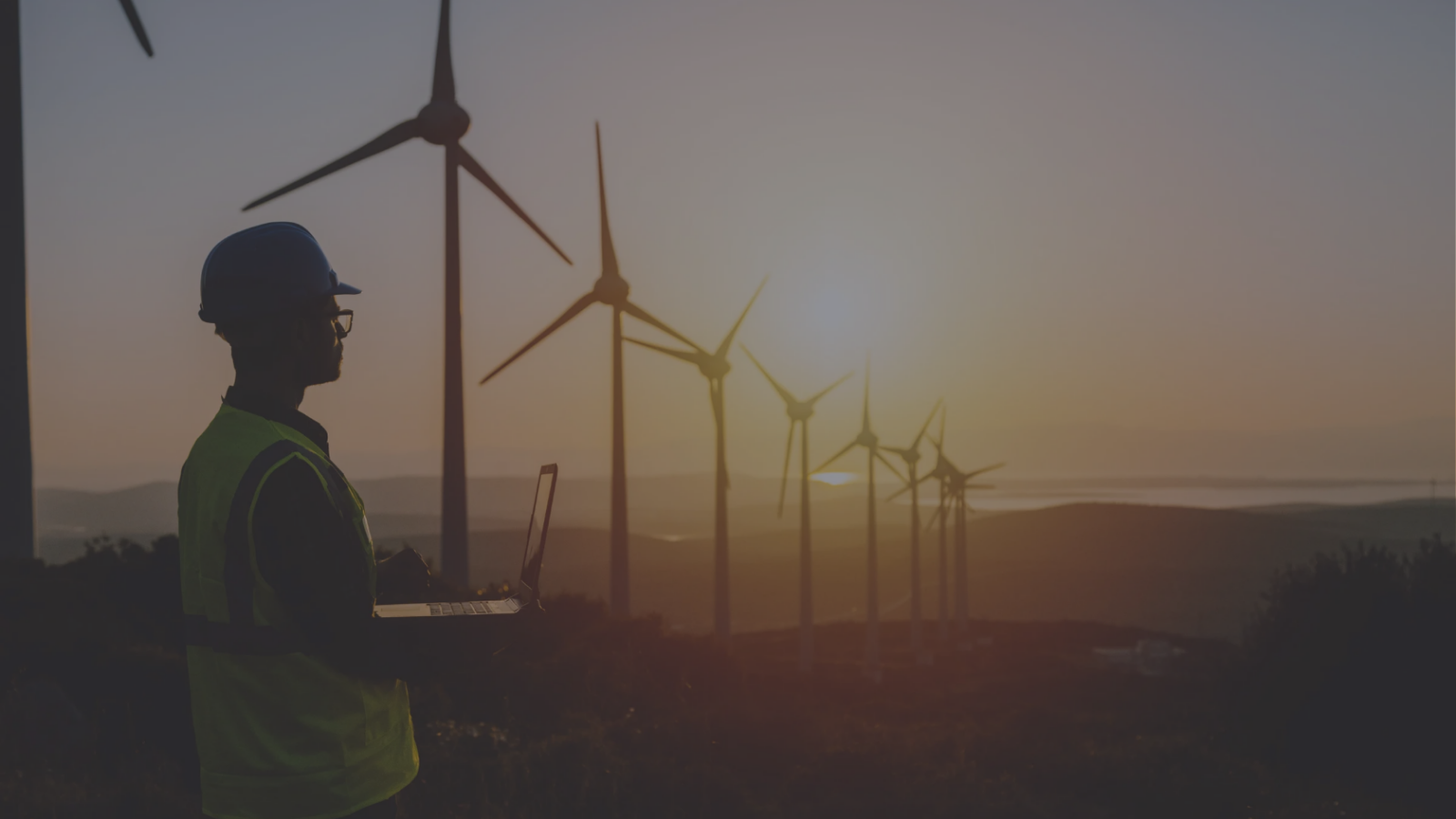 olome Services Installation